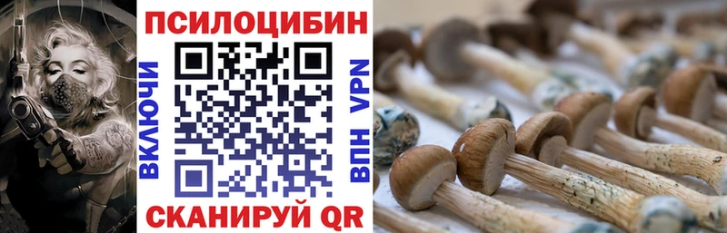 как найти закладки  Спасск  Псилоцибиновые грибы прущие грибы 